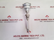 Thermo-electra 1 X Pt100-3W Cl.B Sensor P1138312009