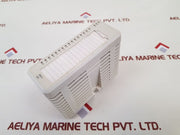 Abb 3Bse008508R1 Digital Input Di810