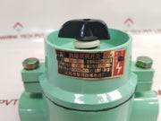Huarong Sw-10 Explosion-proof Lighting Switch Ediibt4 10A 220V