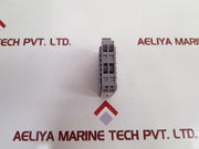 Entrelec 10 004.21 relay interface module
