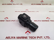 Speedaire 4Zm19 Air Regulator