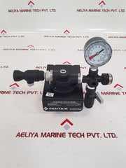 Pentair ev3120-46 rev: b qc7i series water filters