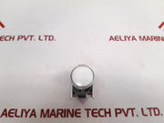 Schneider Electric Xb4 Bvm1 Pilot Led Light Zbv-m1