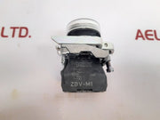 Schneider Electric Xb4 Bvm1 Pilot Led Light Zbv-m1