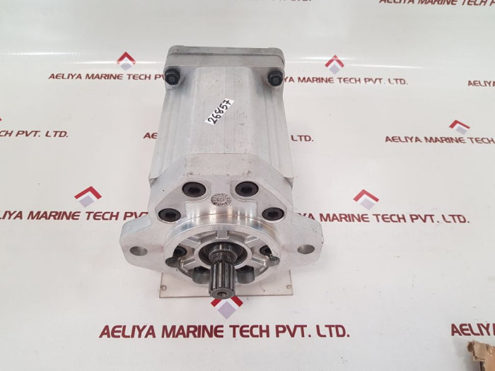 Liebherr 592097514 double gear pump 