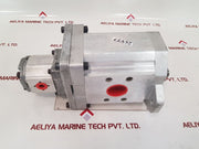 Liebherr 592097514 double gear pumpÂ 