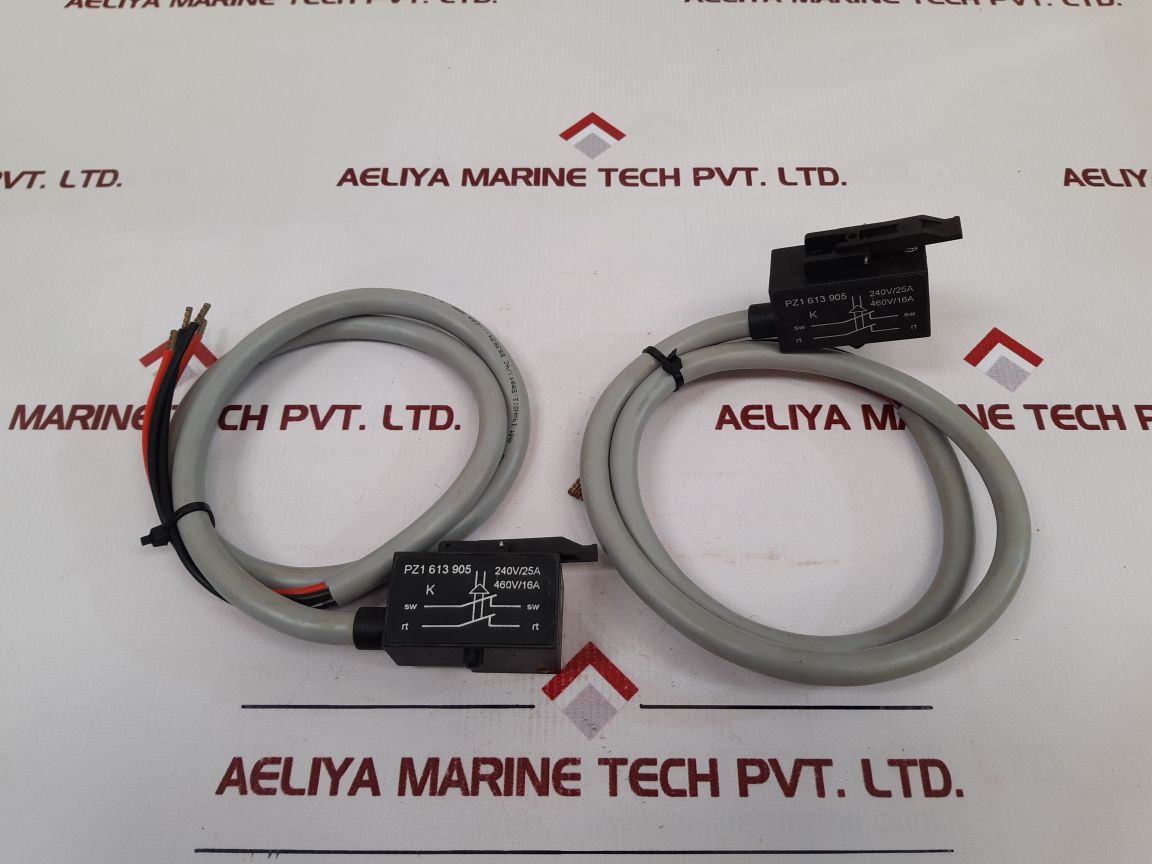 Kissling Pz1 613 905 Micro Switch