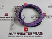 Autronica Pt100Ohm/0Â°C