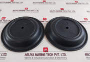 Teryair Buna N Diaphragm