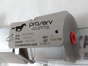 Gilmore 25168-2 Pressure Relief Valve Rev.H