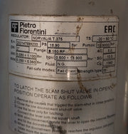 Pietro Fiorentini Norval/A T.375 Pressure Regulator 18.90 Bar M7492161
