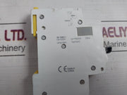 Schneider Electric C6 Miniature Circuit Breaker 230V 4Kv 6000A 50Hz