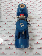 Desmi S100-80-175N/D11-02-90-130 Ex Motor Pump Assembly