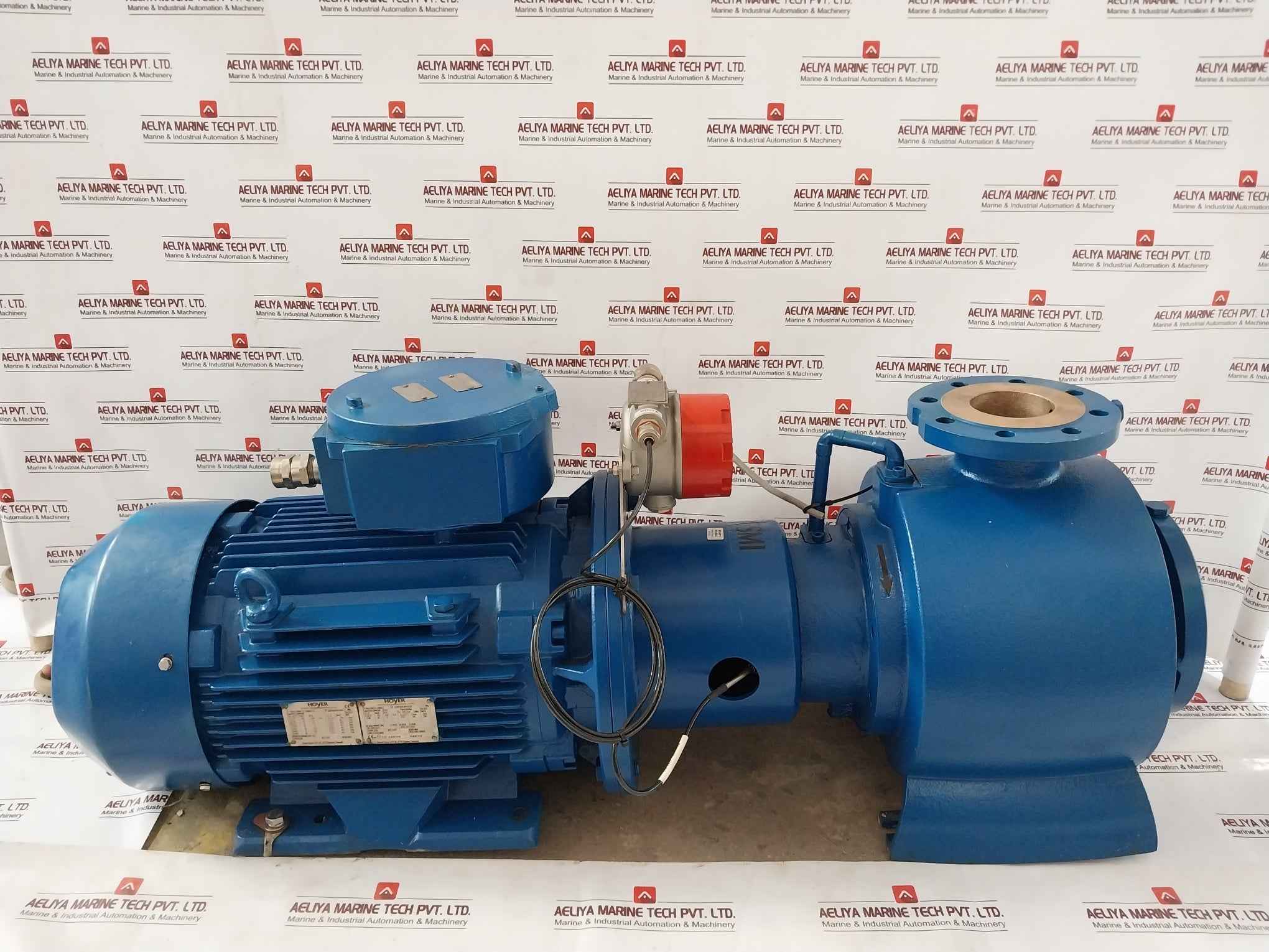 Desmi S100-80-175N/D11-02-90-130 Ex Motor Pump Assembly