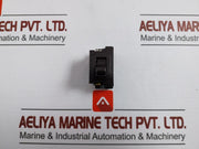 P&S Toggle Switch 10A 125V-t