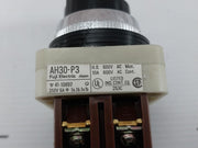 Ah30-p3B11 Fuji Electric Select Switch 250V 6A New