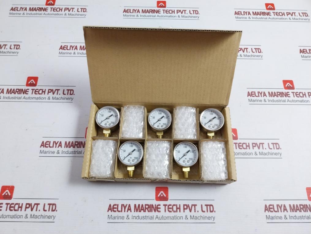 Nagano Keiki Seisakusho Pressure Gauge Gk20-a01 0-200Kpa