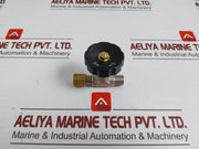 100 Gm Shinko Manual Shut Off Valve/Stop Valve 1/4 Inch