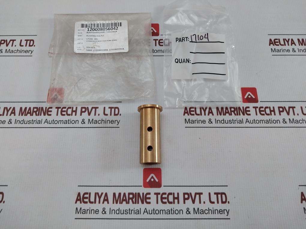 17104 X81 Valve Plate Bushing