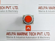 50 Gm Idec Push Button Switch Abs (Tws)  600V 10A
