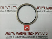 Condition In New Metal Plastic Gasket Gs-Hydro 4839 Ss - 50 Gm