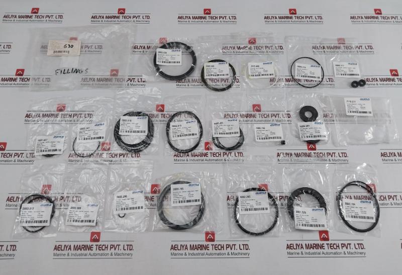 Seal & O-ring Repair Kit Auma Z110.277