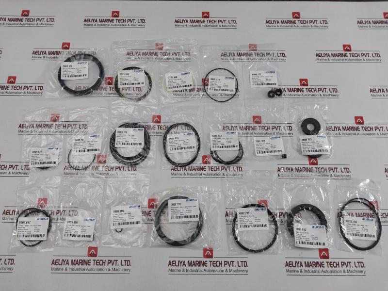 Seal & O-ring Repair Kit Auma Z110.277