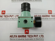 Kripxe 0-12 Bar Pneumatic Air Flow Regulator With Analog Pressure Gauge