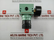 Kripxe 0-12 Bar Pneumatic Air Flow Regulator With Analog Pressure Gauge