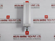 Pneumatic Air Cylinder Festo Adn-32-100-a-p-a