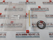 2075806 E-set For Schlauchpumpe/Peristaltic Pump