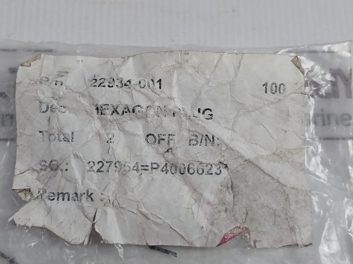 22934-001 Hexagon Plug