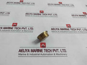 22934-001 Hexagon Plug