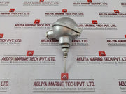 2Xpt 100 3-l Temperature Sensor