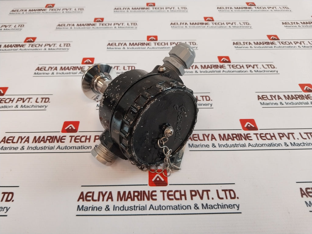 Kaysons 2Xpt100 Temperature Sensor – Aeliya Marine