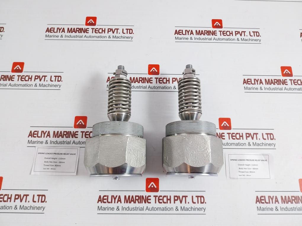 304 Spring Loaded Pressure Relief Valve – Aeliya Marine