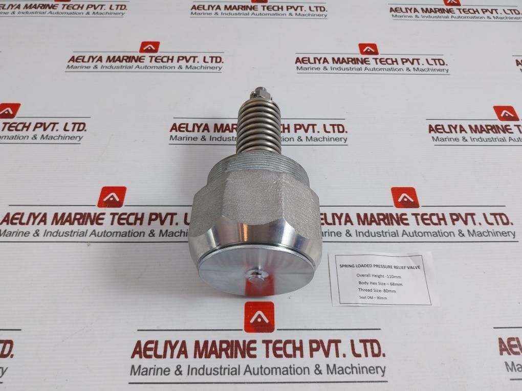 304 Spring Loaded Pressure Relief Valve – Aeliya Marine