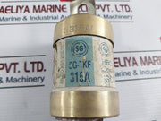 Sg Controls 315A Hbc Fuse Link 415Vac