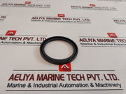 60 100 10 Seal Oil