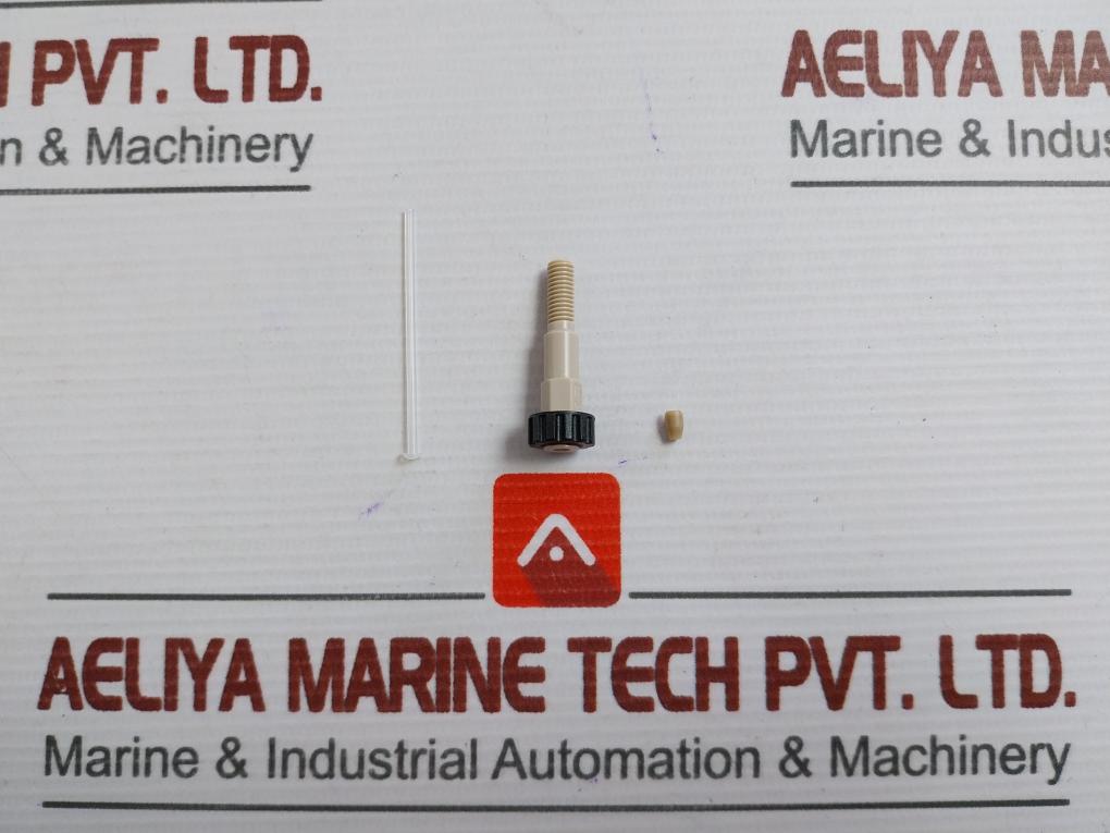 6060895 Peek Port Injector Waters