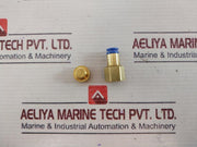 6071652 Straight Union Female 1/4Bspt – 6Mm Tube