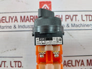 Fuji Electric Ar30Pr-2 Selector Switch 250V 6A (New)