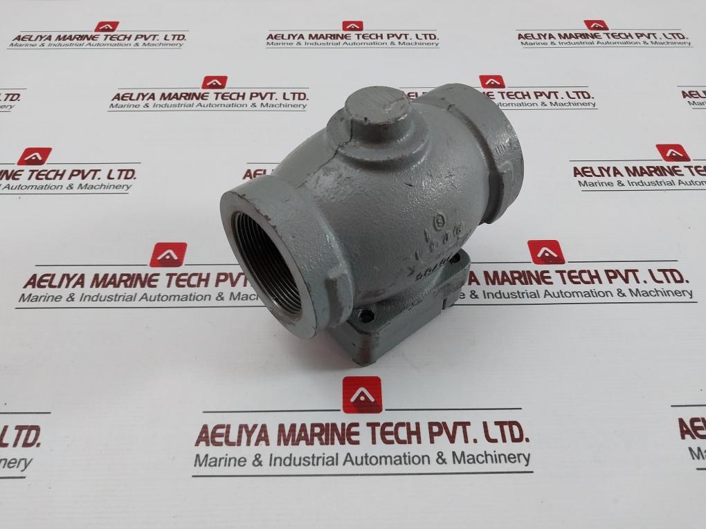 70765 9061 Check Valve NEW 