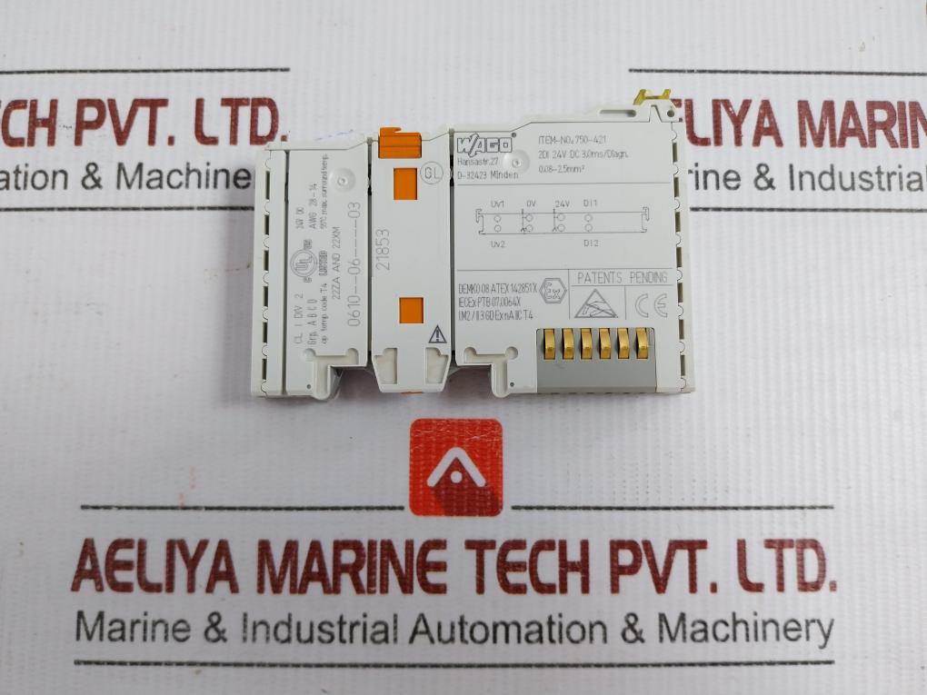 750-421-2-channel-digital-I-o-module-Wago-24-vdc-awg-28-14-209390-1