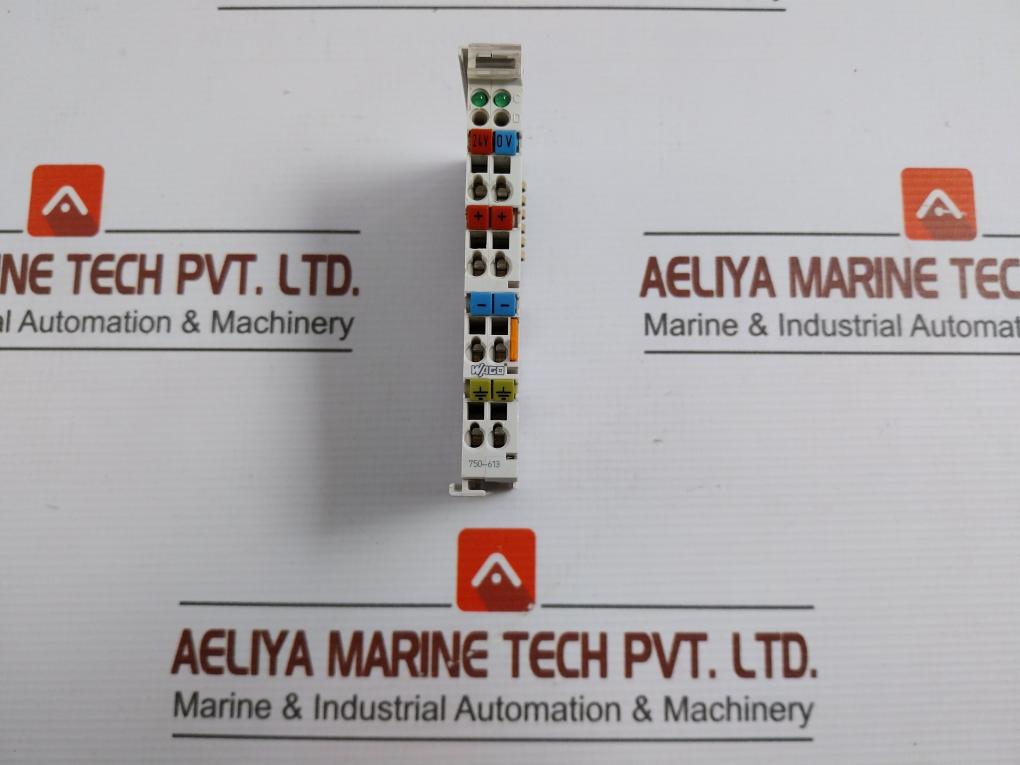 750-613-Analog-Input-Module-24vdc-10a-By-Wago-1