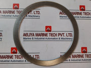 Nichias 1804Gr F/900Lb-6B Globe Angle Gasket Check Valve
