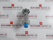 843825 Needle Valve Bd302511