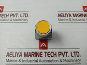Abw Hw-C10 Push Button With Contact Block Base Brand Idec 600v 10a