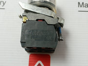 Ac15-240v 3a Schneider Electric Zbe-101 Illuminated Push Button Switch