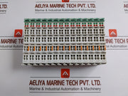 Analog-Input-Module-24V-Dc-Wago-750-461-210375-9